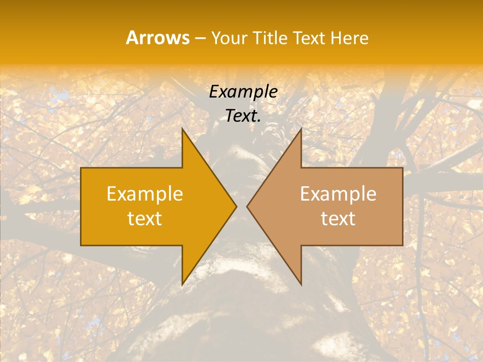 Atlanta Seasonal Maple PowerPoint Template