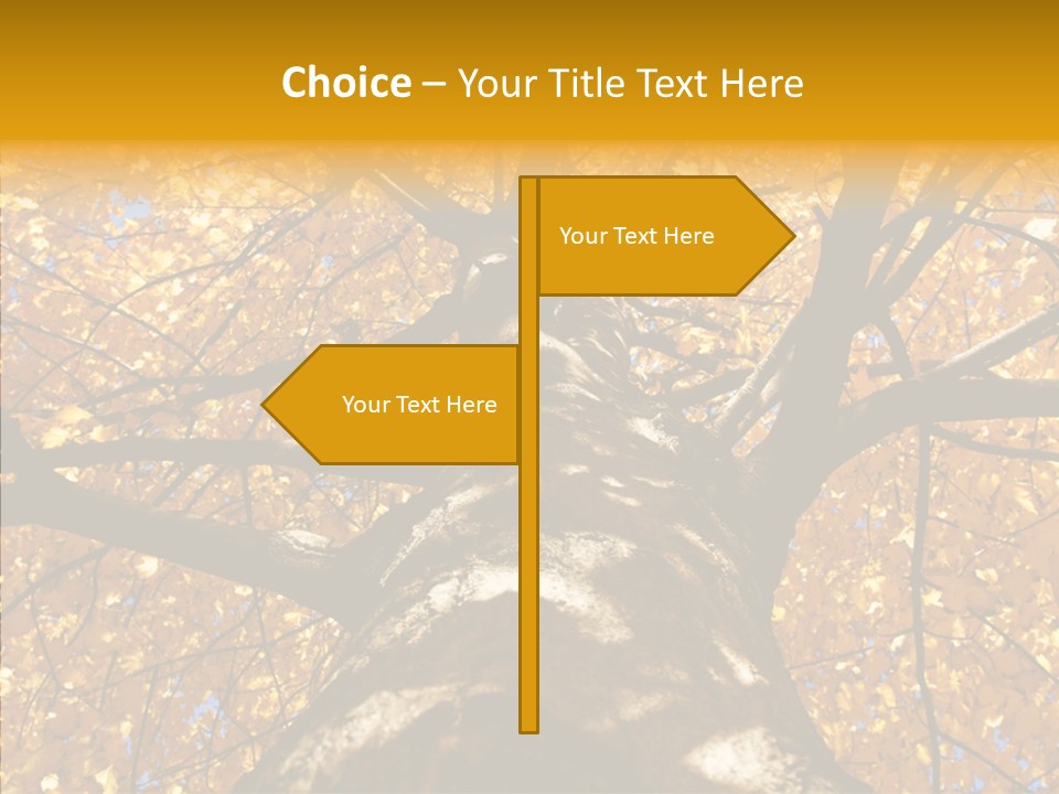 Atlanta Seasonal Maple PowerPoint Template