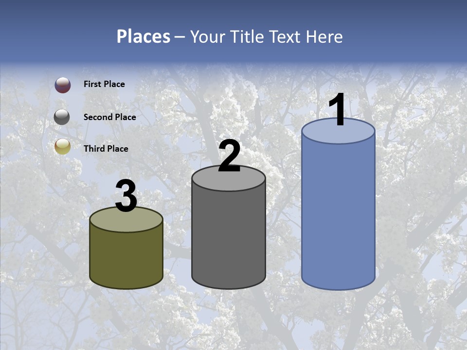 May Branch Backlit PowerPoint Template