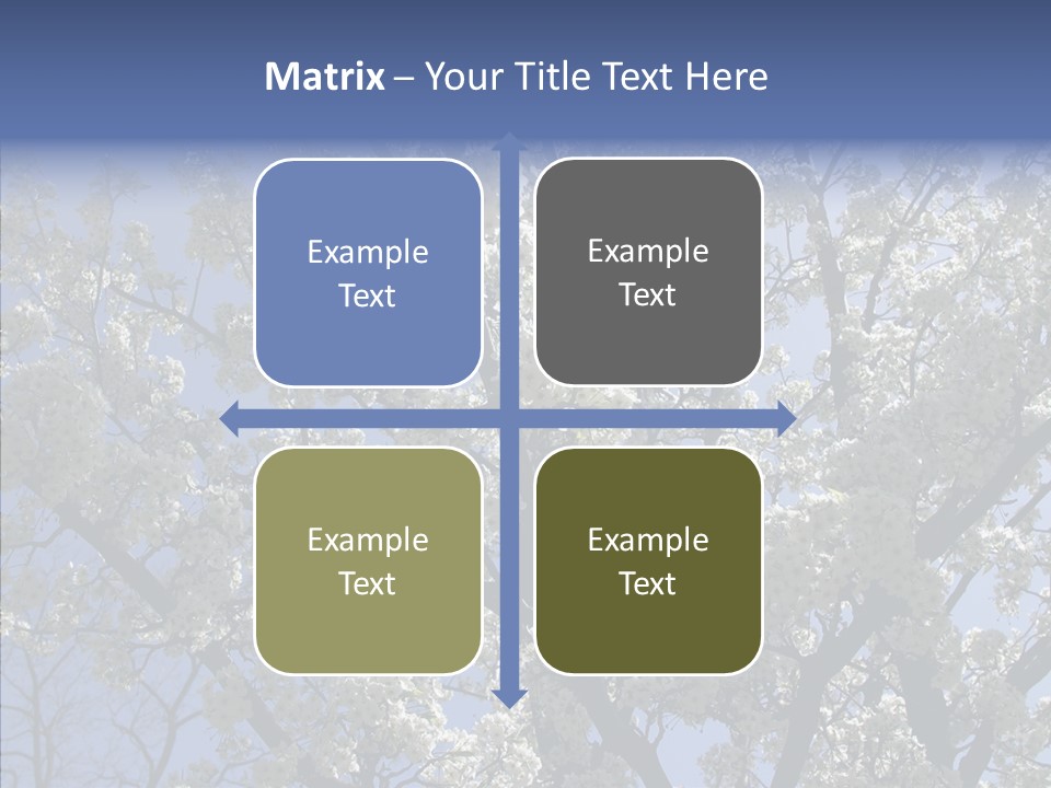 May Branch Backlit PowerPoint Template