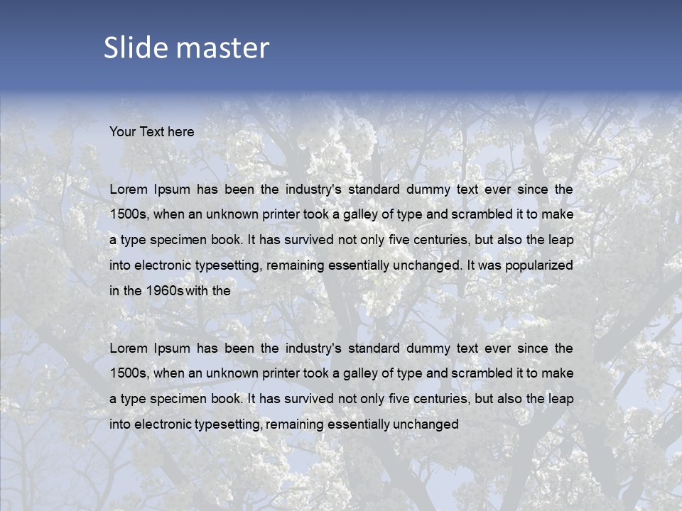 May Branch Backlit PowerPoint Template