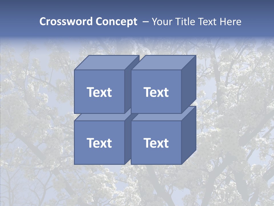 May Branch Backlit PowerPoint Template