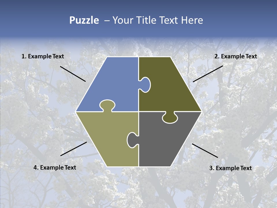 May Branch Backlit PowerPoint Template