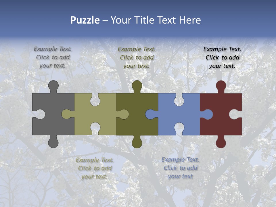 May Branch Backlit PowerPoint Template