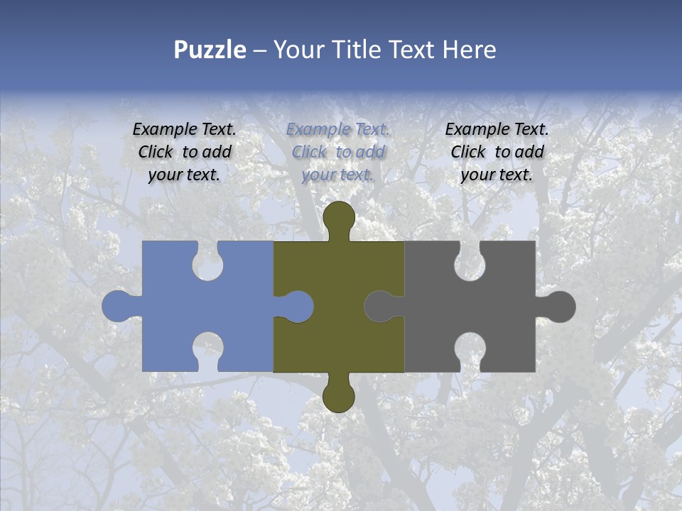 May Branch Backlit PowerPoint Template