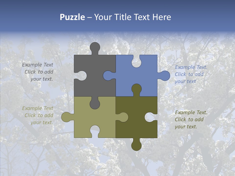 May Branch Backlit PowerPoint Template