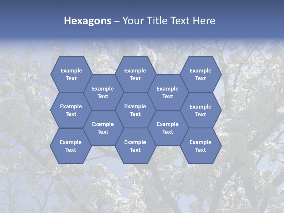 May Branch Backlit PowerPoint Template