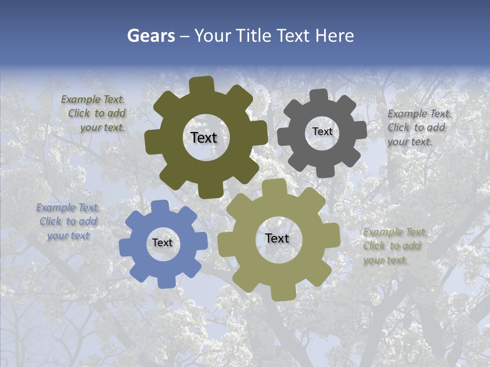 May Branch Backlit PowerPoint Template