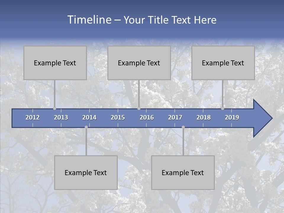 May Branch Backlit PowerPoint Template