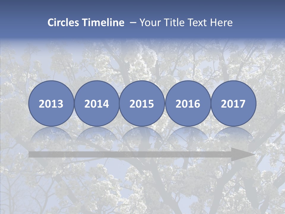 May Branch Backlit PowerPoint Template