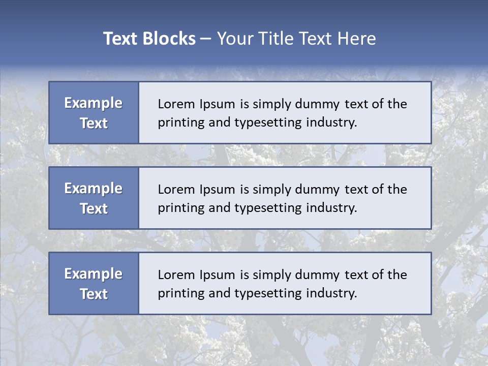 May Branch Backlit PowerPoint Template