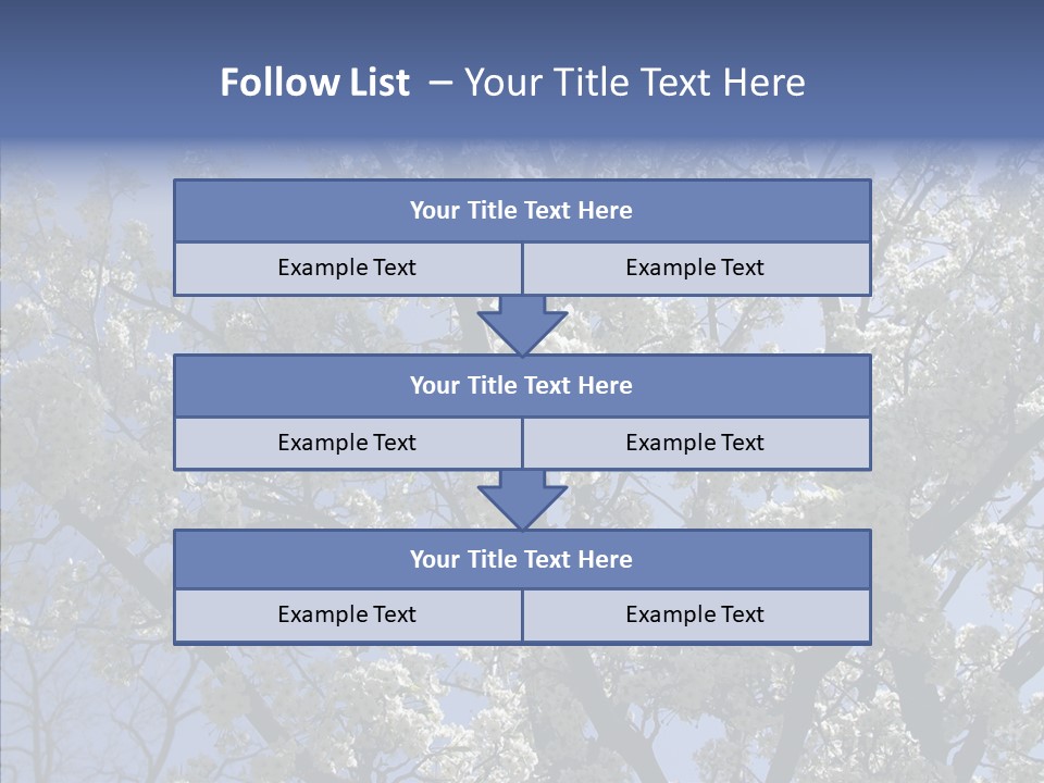 May Branch Backlit PowerPoint Template