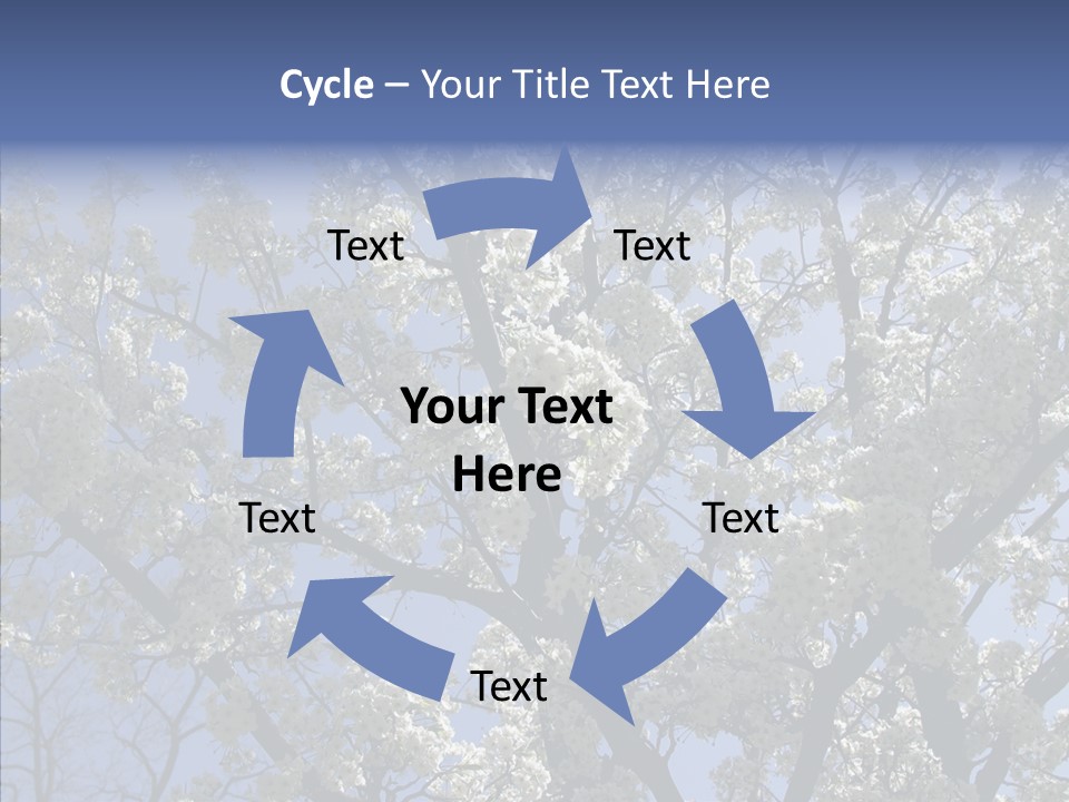 May Branch Backlit PowerPoint Template
