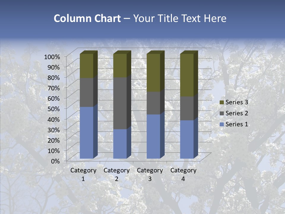 May Branch Backlit PowerPoint Template