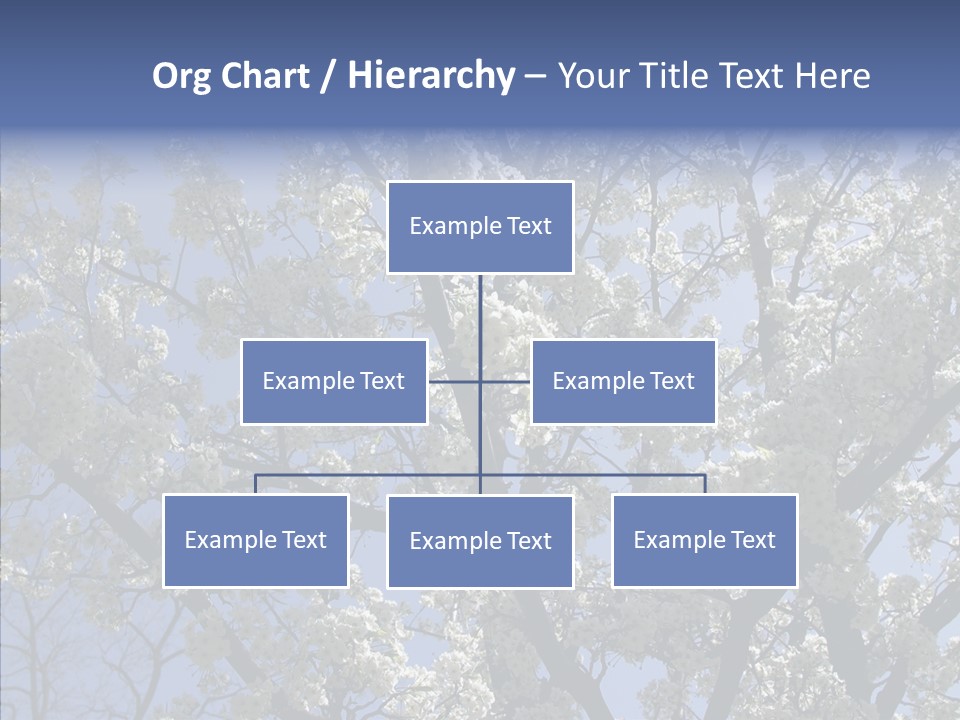 May Branch Backlit PowerPoint Template