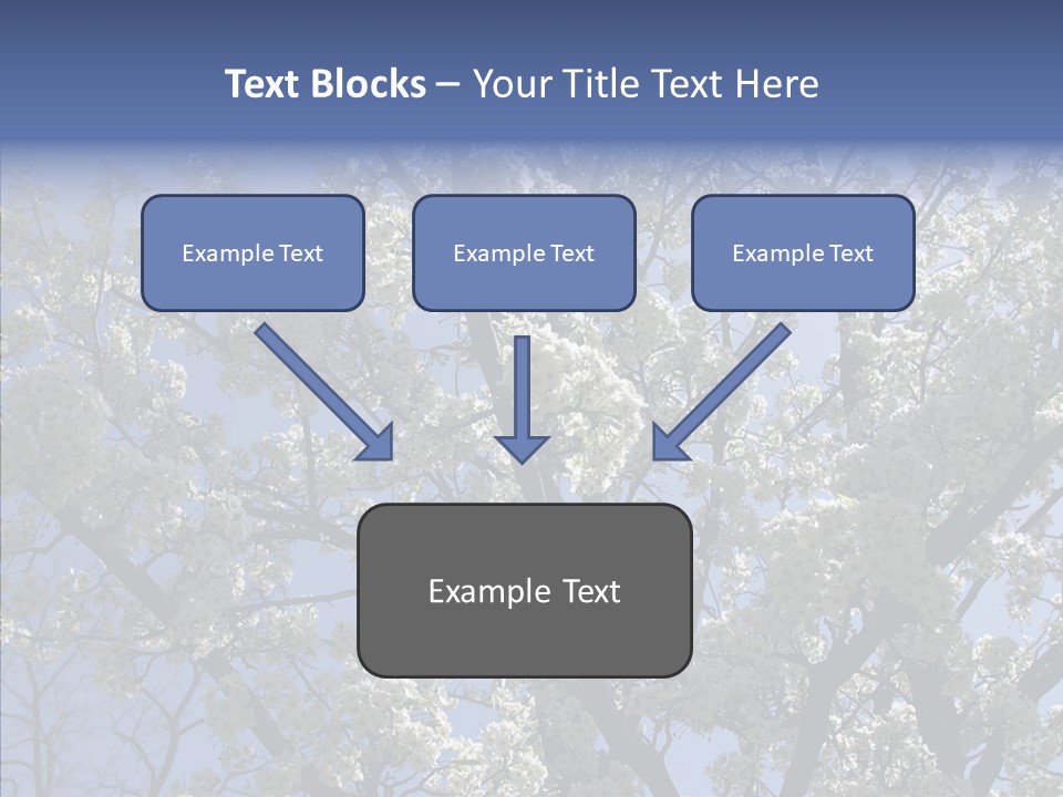 May Branch Backlit PowerPoint Template