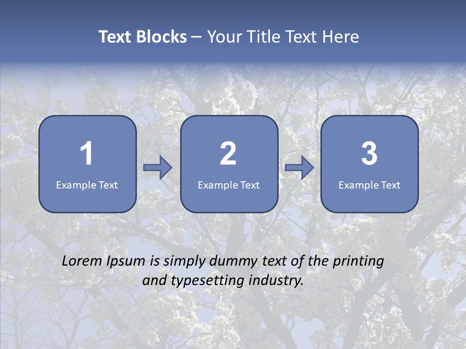 May Branch Backlit PowerPoint Template