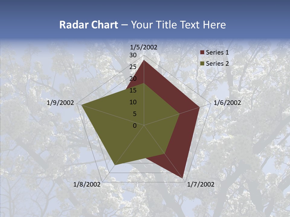 May Branch Backlit PowerPoint Template