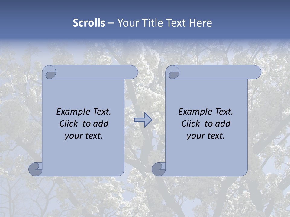 May Branch Backlit PowerPoint Template