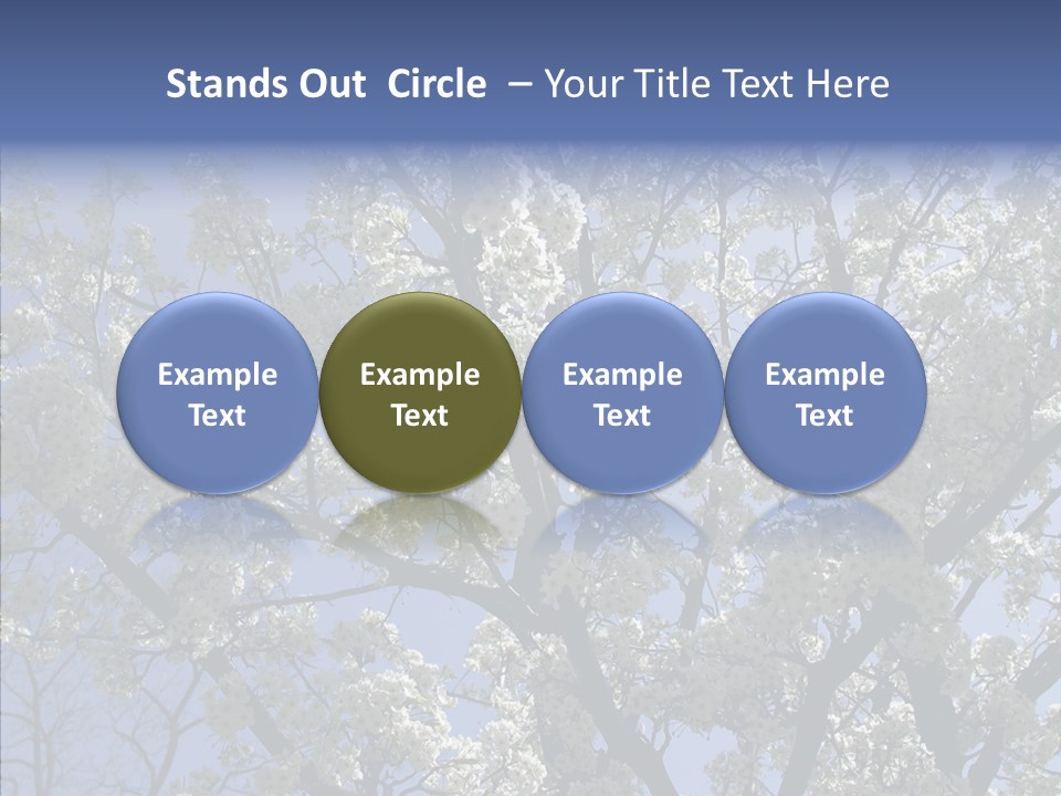 May Branch Backlit PowerPoint Template