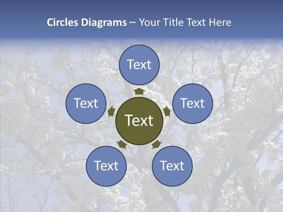 May Branch Backlit PowerPoint Template