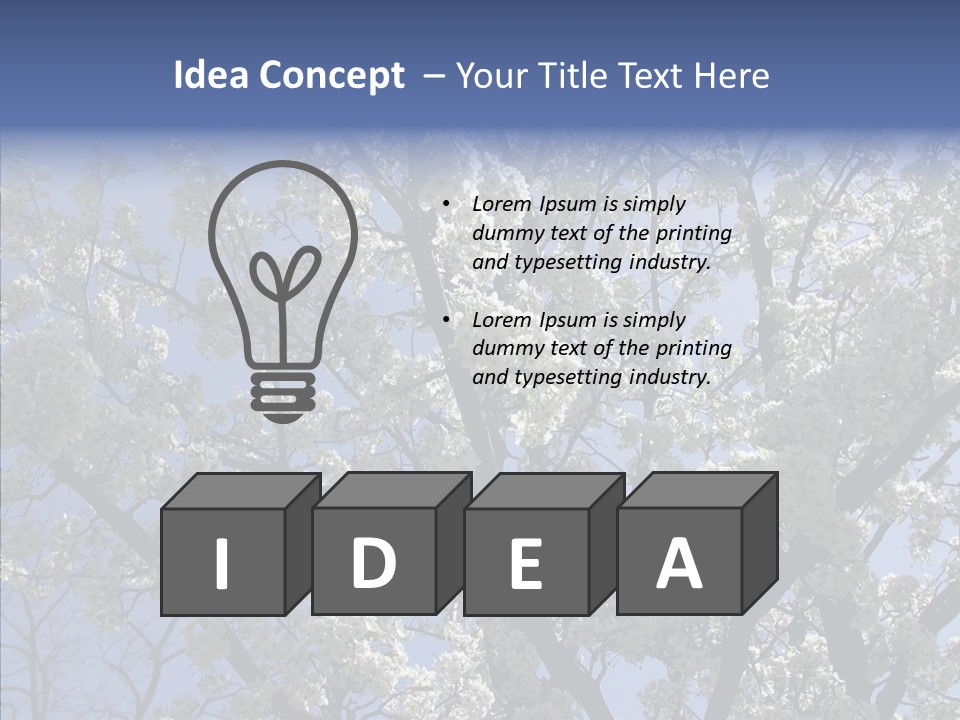 May Branch Backlit PowerPoint Template