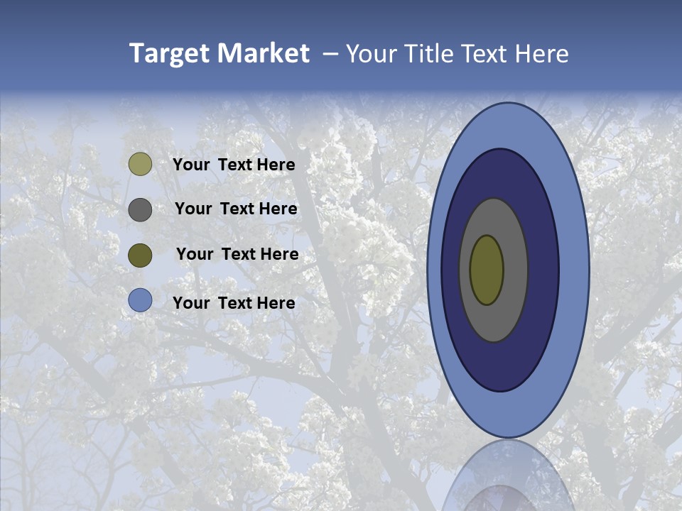 May Branch Backlit PowerPoint Template