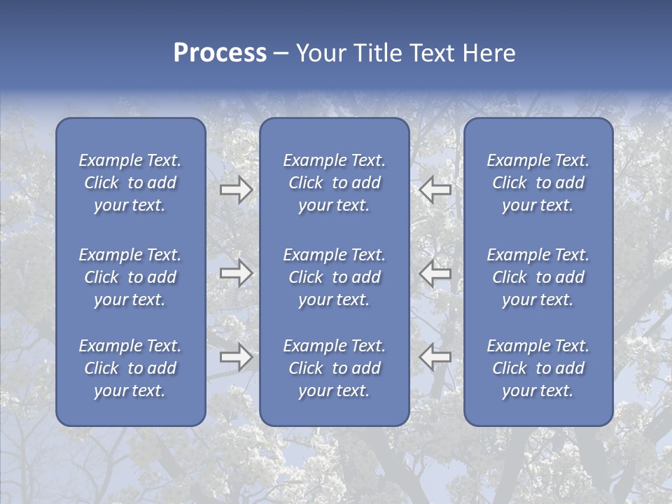 May Branch Backlit PowerPoint Template