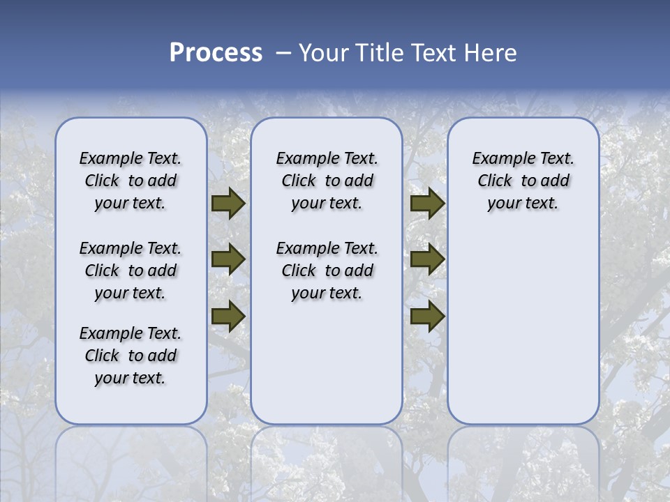 May Branch Backlit PowerPoint Template