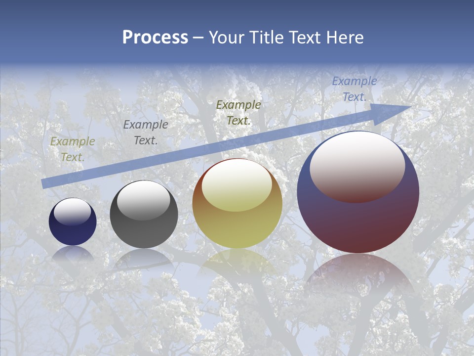 May Branch Backlit PowerPoint Template