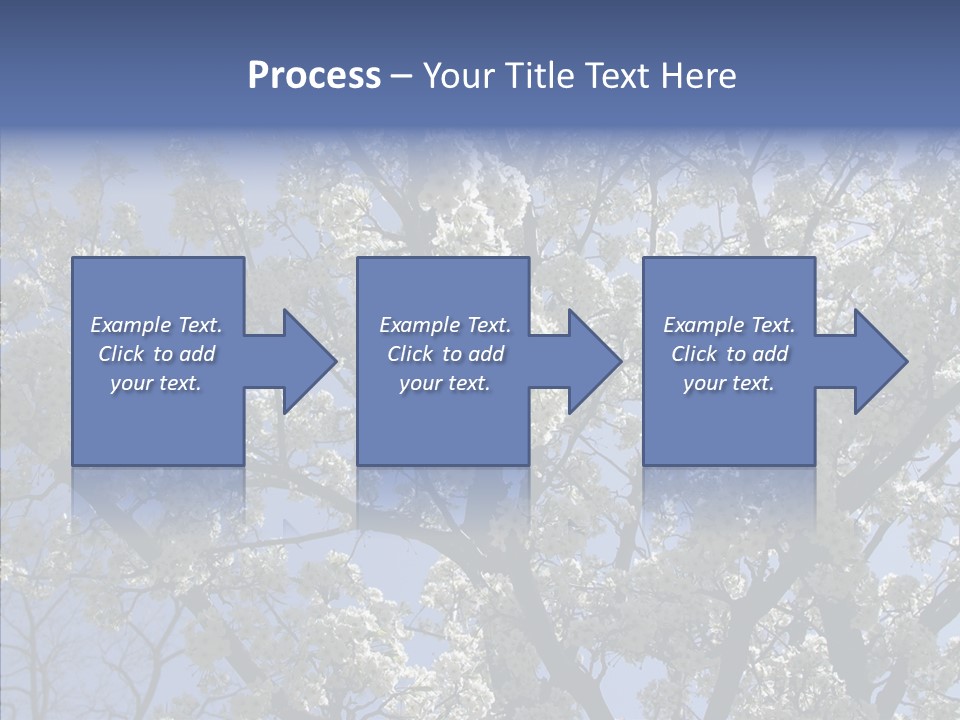 May Branch Backlit PowerPoint Template
