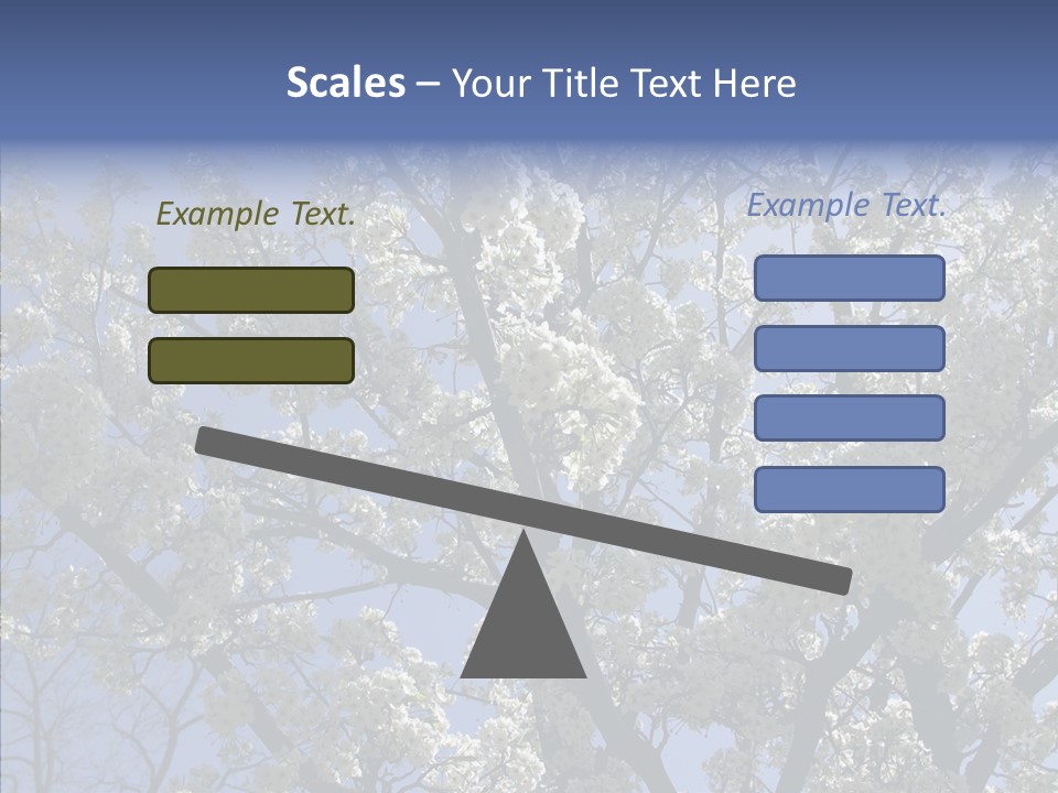 May Branch Backlit PowerPoint Template