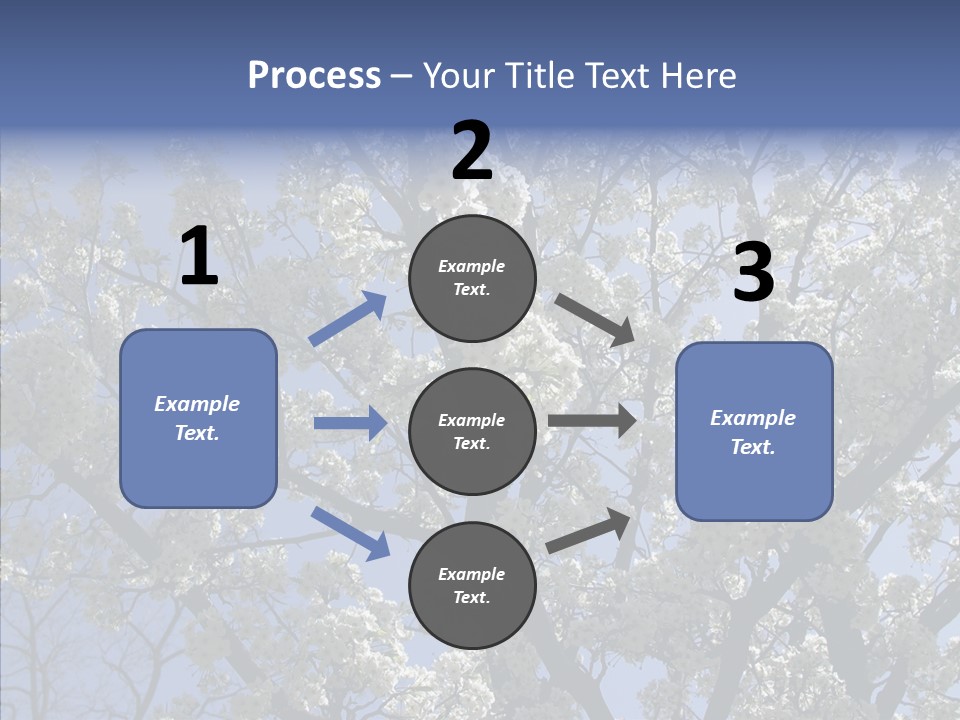 May Branch Backlit PowerPoint Template