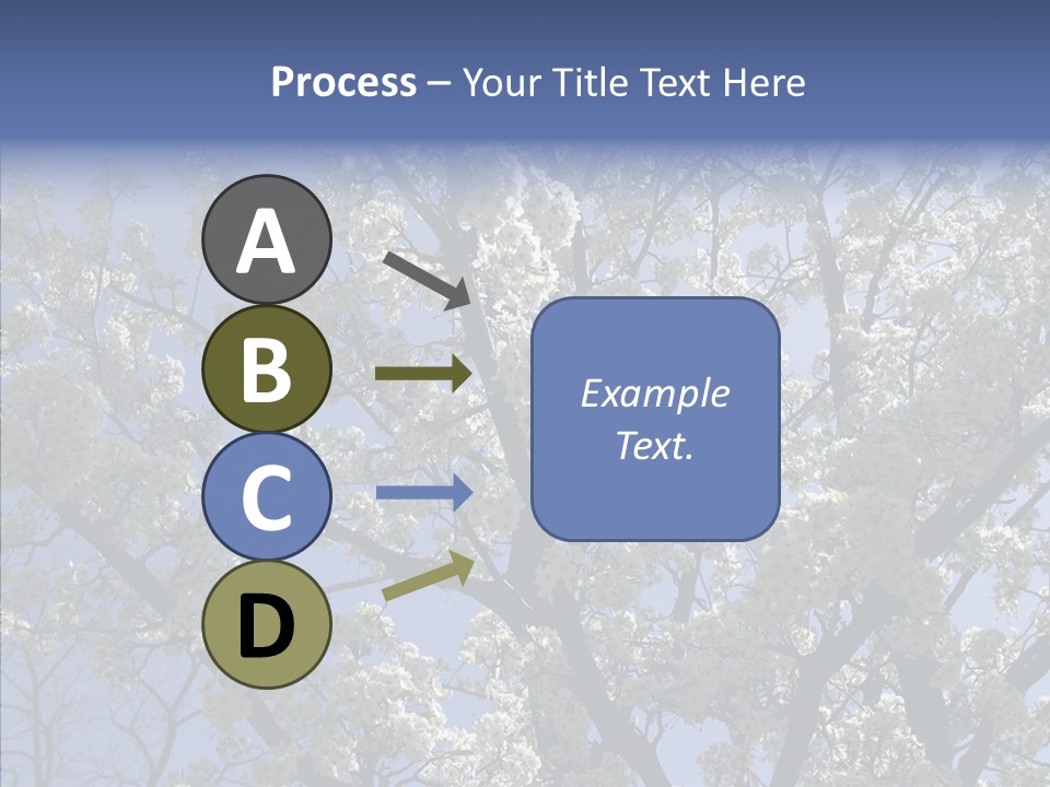 May Branch Backlit PowerPoint Template