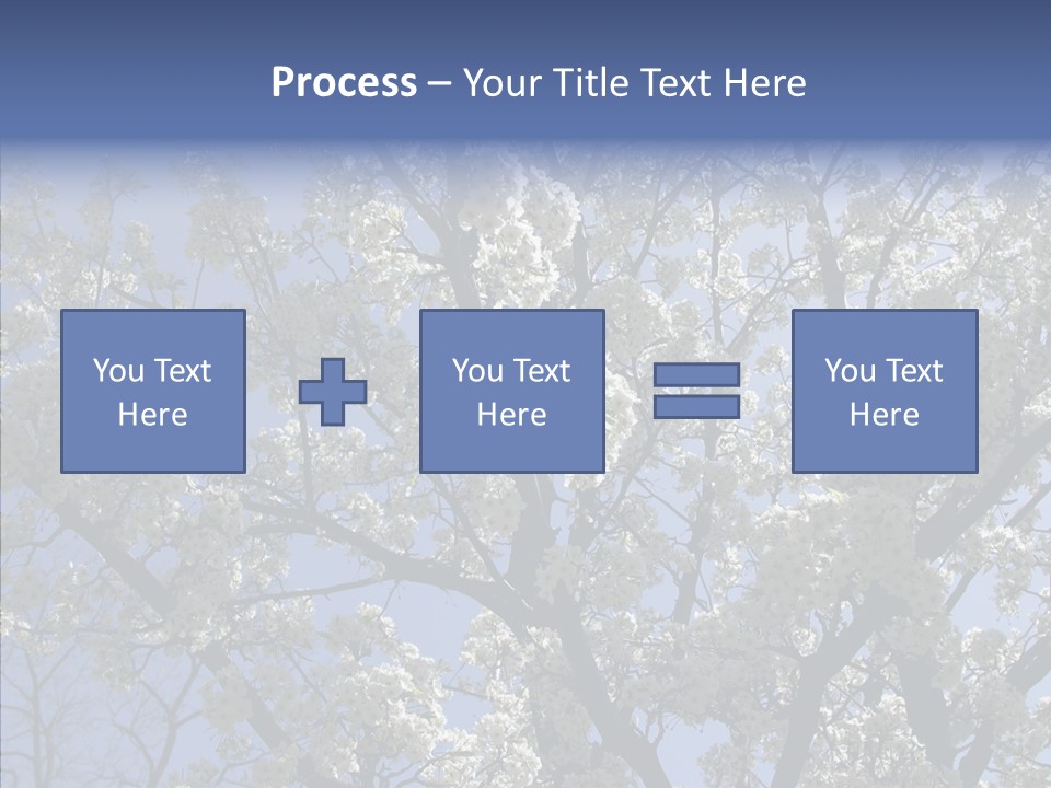 May Branch Backlit PowerPoint Template