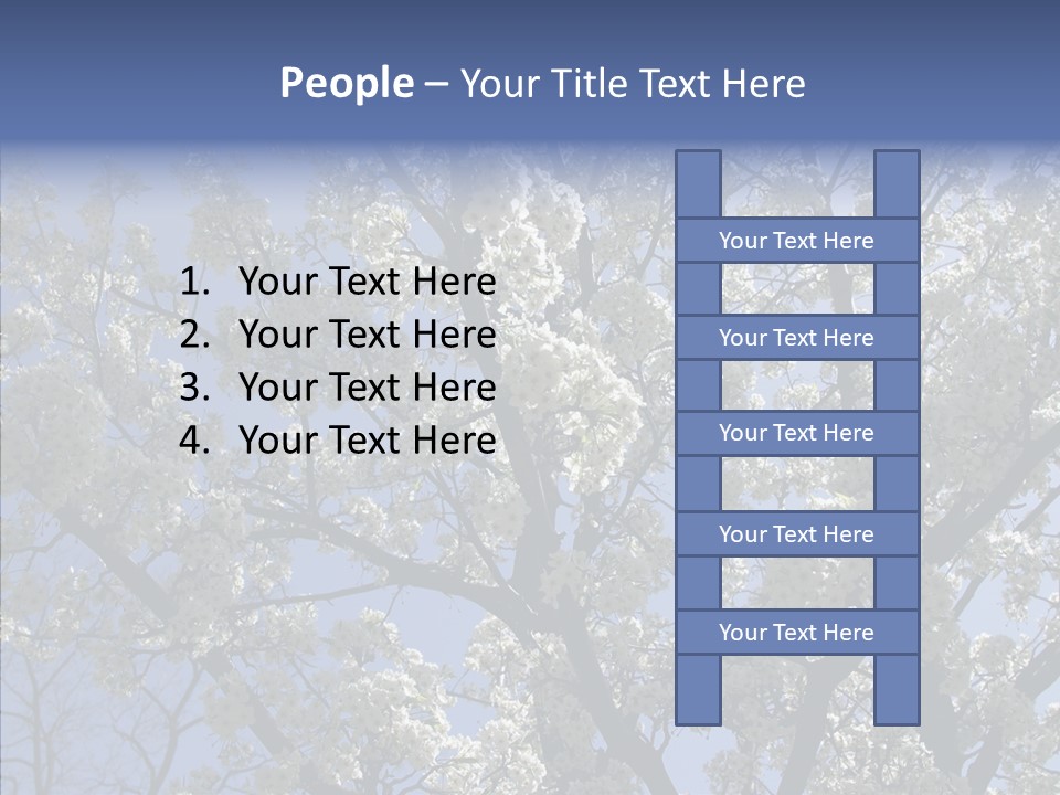 May Branch Backlit PowerPoint Template