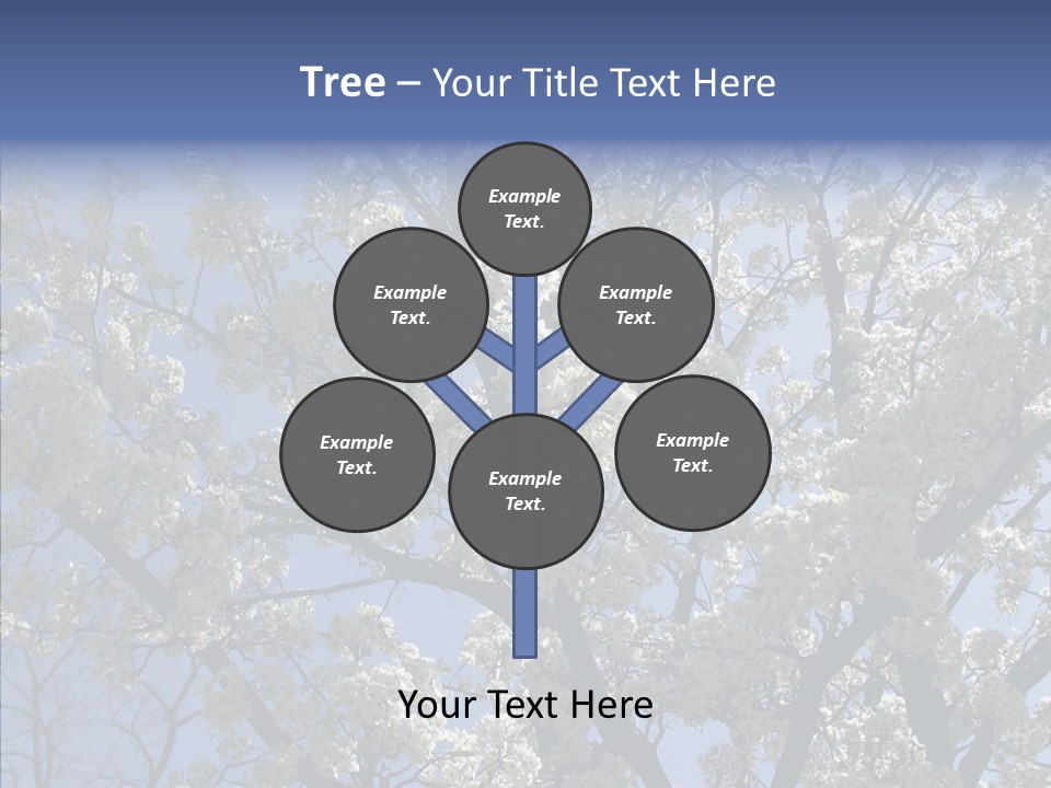 May Branch Backlit PowerPoint Template