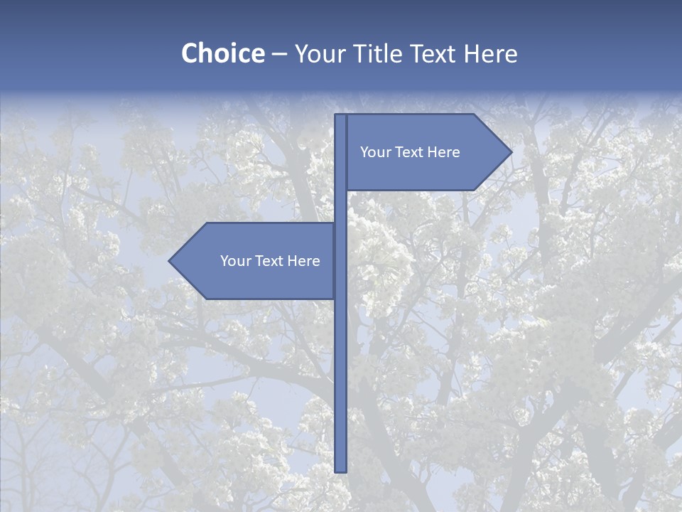 May Branch Backlit PowerPoint Template