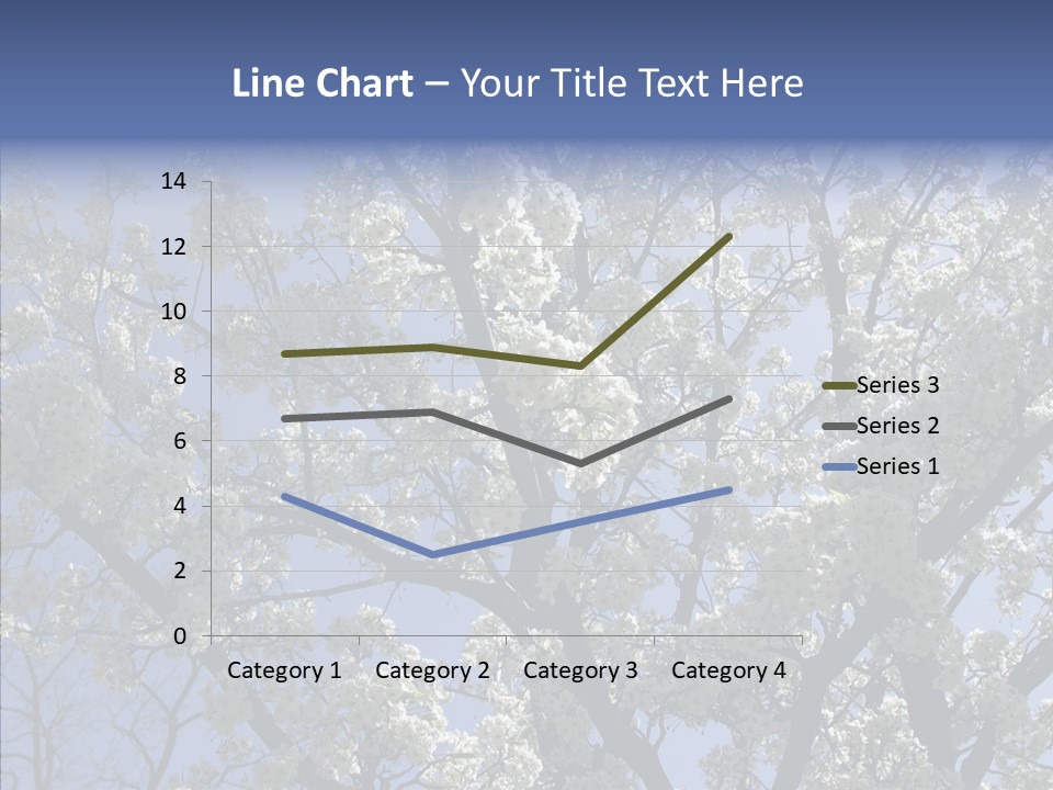 May Branch Backlit PowerPoint Template