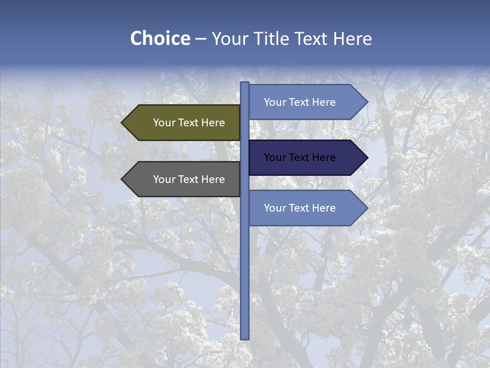 May Branch Backlit PowerPoint Template