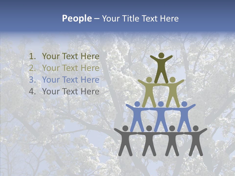 May Branch Backlit PowerPoint Template