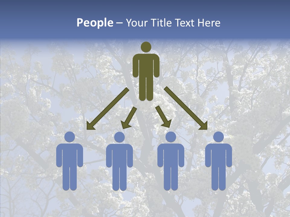 May Branch Backlit PowerPoint Template