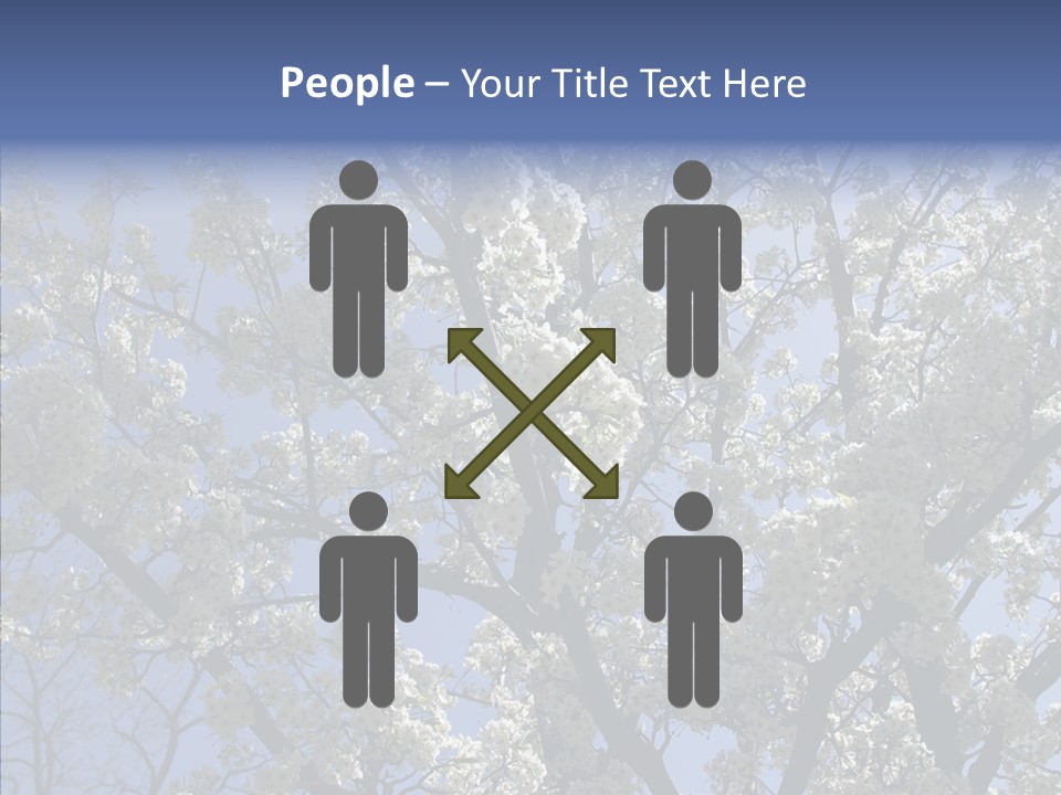 May Branch Backlit PowerPoint Template