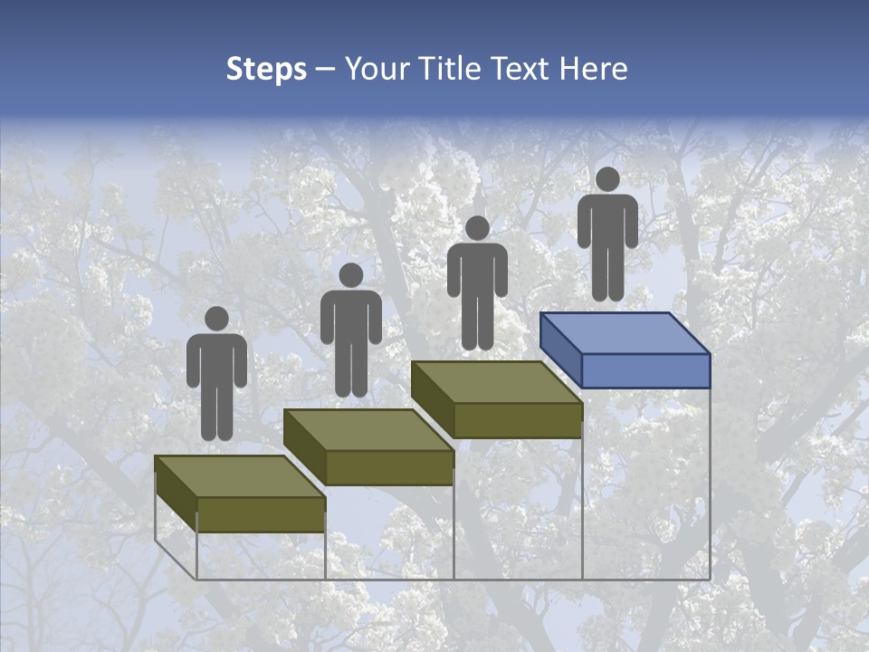 May Branch Backlit PowerPoint Template