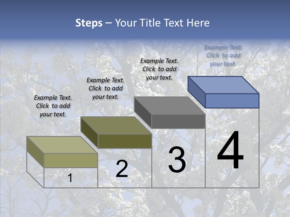 May Branch Backlit PowerPoint Template