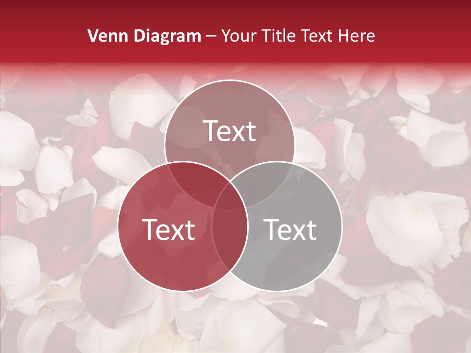 Human Humor Group PowerPoint Template