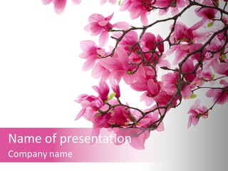 Image Beautiful Nature PowerPoint Template