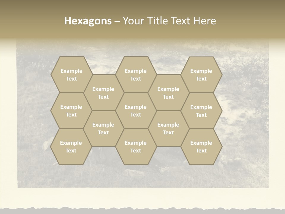 Army Retro Defending PowerPoint Template