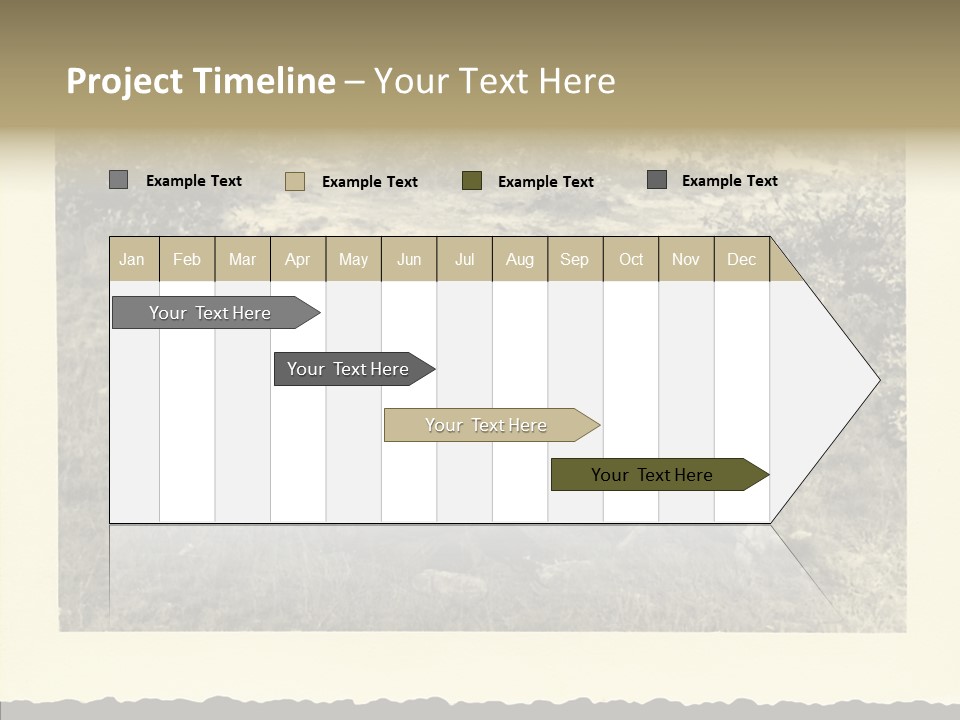 Army Retro Defending PowerPoint Template
