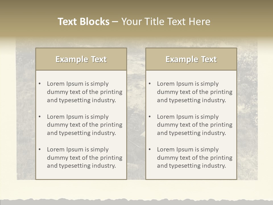Army Retro Defending PowerPoint Template